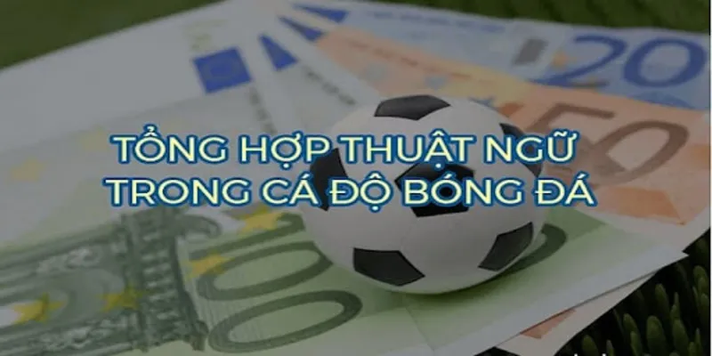 Thuật ngữ trong cá độ bóng đá