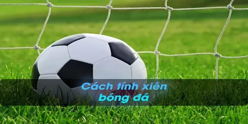 Hướng dẫn tính cược xiên bóng đá