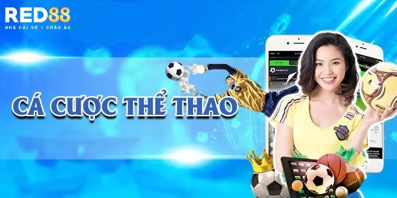 Tổng hợp các sản phẩm