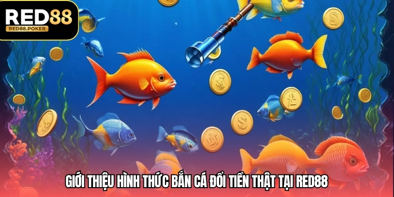 Giới thiệu hình thức bắn cá đổi tiền thật tại RED88