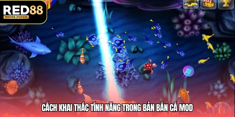 Bắn Cá Mod – Phiên Bản Mở Rộng Nhiều Tính Năng Thú Vị 4 Cách khai thác tính năng trong bản bắn cá mod