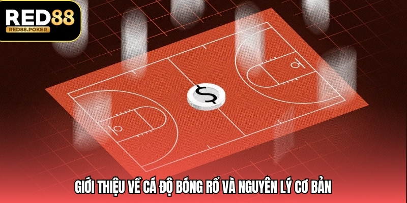Giới thiệu về cá độ bóng rổ và nguyên lý cơ bản