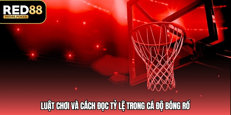 Luật chơi và cách đọc tỷ lệ trong cá độ bóng rổ
