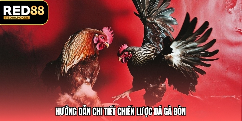 Đá Gà Đòn - Mẹo Để Chơi Và Chiến Lược Tại RED88 3 Hướng dẫn chi tiết chiến lược đá gà đòn