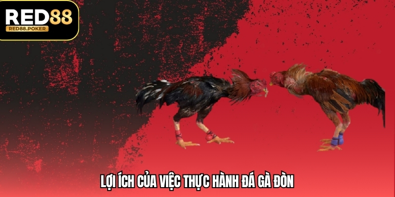 Đá Gà Đòn - Mẹo Để Chơi Và Chiến Lược Tại RED88 4 Lợi ích của việc thực hành đá gà đòn