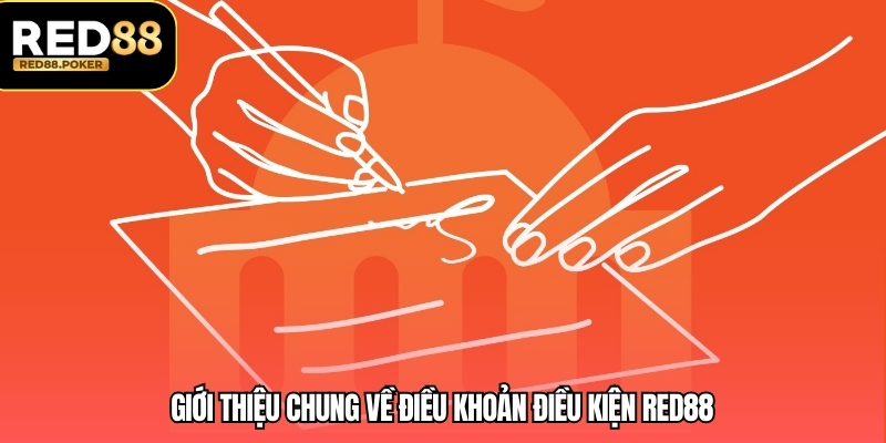 Giới thiệu chung về điều khoản điều kiện RED88 