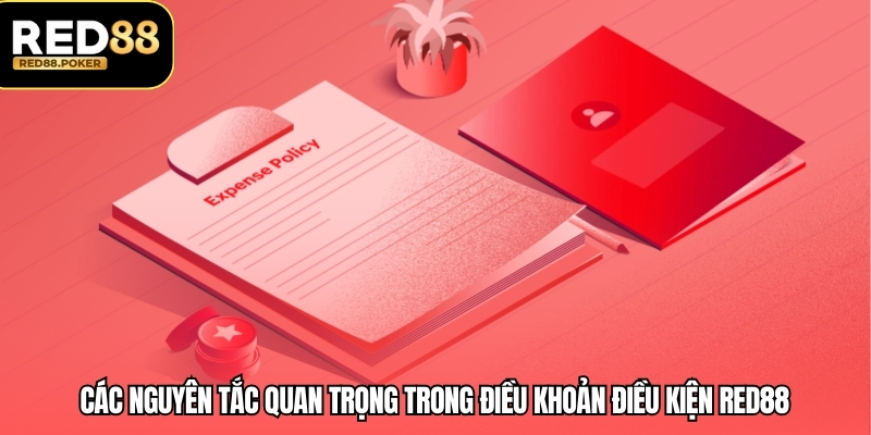 Các nguyên tắc quan trọng trong điều khoản điều kiện RED88