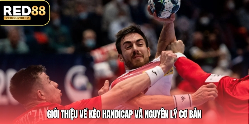 Giới thiệu về kèo handicap và nguyên lý cơ bản