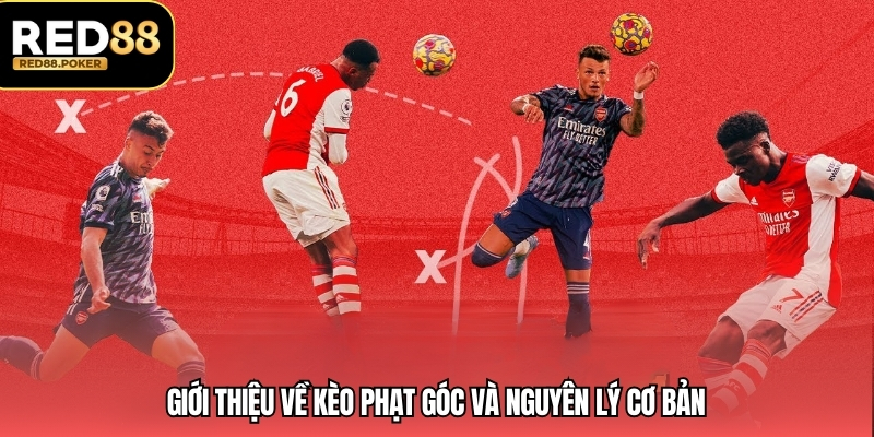 Giới thiệu về kèo phạt góc và nguyên lý cơ bản