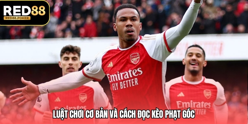 Luật chơi cơ bản và cách đọc kèo phạt góc