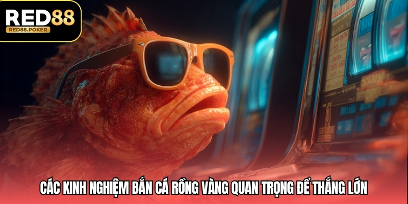 Các kinh nghiệm bắn cá Rồng Vàng quan trọng để thắng lớn