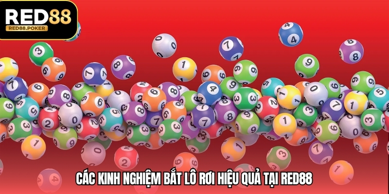 Các kinh nghiệm bắt lô rơi hiệu quả tại RED88