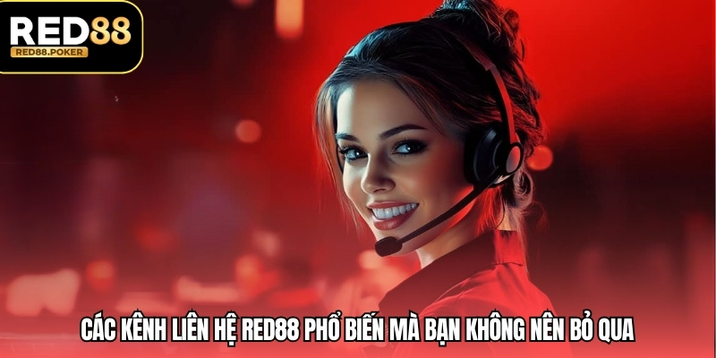 Các kênh liên hệ RED88 phổ biến mà bạn không nên bỏ qua 