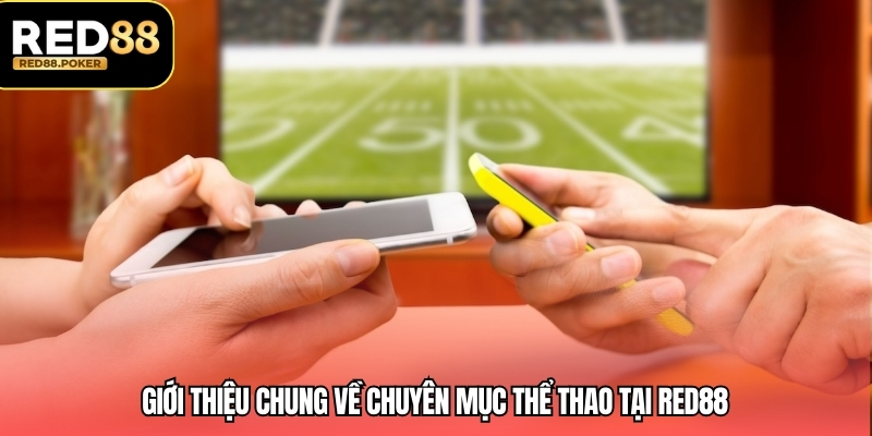 Giới thiệu chung về chuyên mục thể thao tại RED88