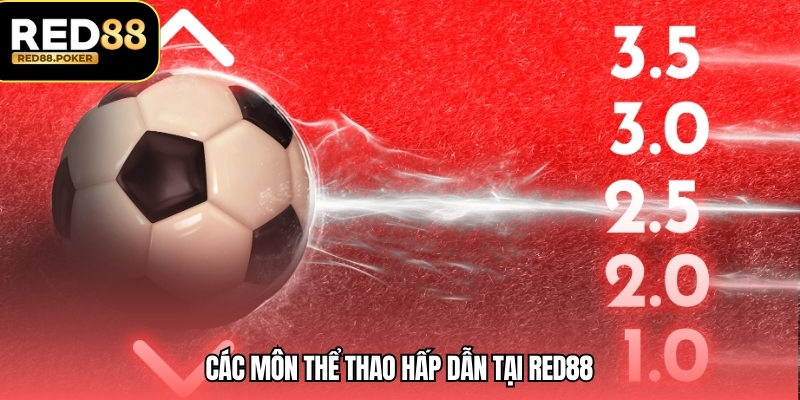 Thể Thao RED88 2 Các môn thể thao hấp dẫn tại RED88